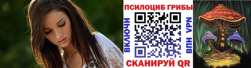 даркнет наркотические препараты  Учалы  Галлюциногенные грибы Psilocybe 