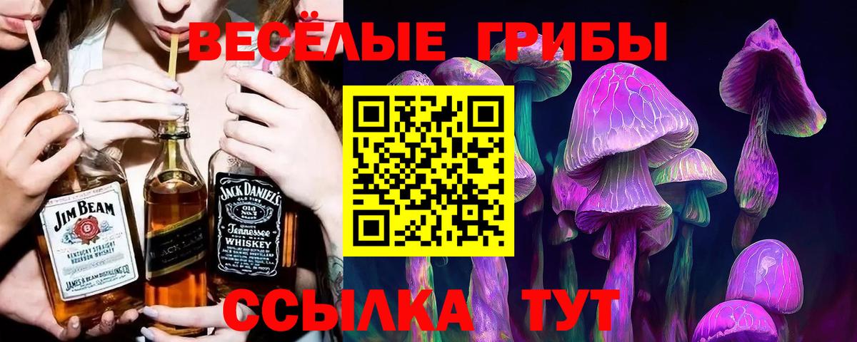 Псилоцибиновые грибы MAGIC MUSHROOMS Учалы