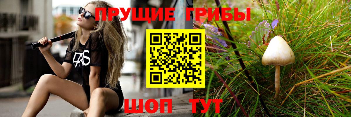 Галлюциногенные грибы мицелий  Вход с VPN  Учалы 